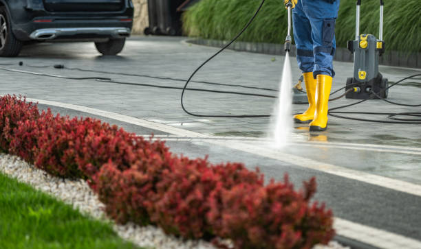 Animal Enclosure Cleaning in Bellville, OH